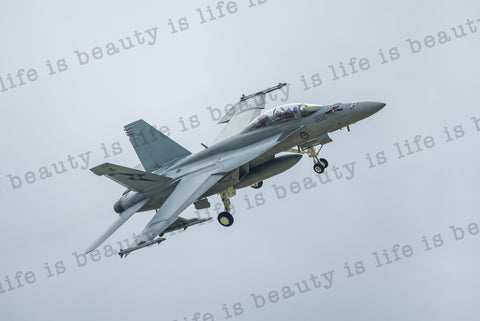 F/A-18F Super Hornet - Gear Down