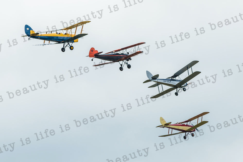 Magnificent Flying Machines