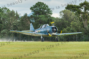 T-6 Texan Touchdown