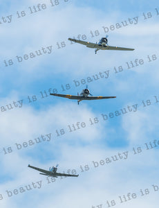 WW2 Warbirds Trio